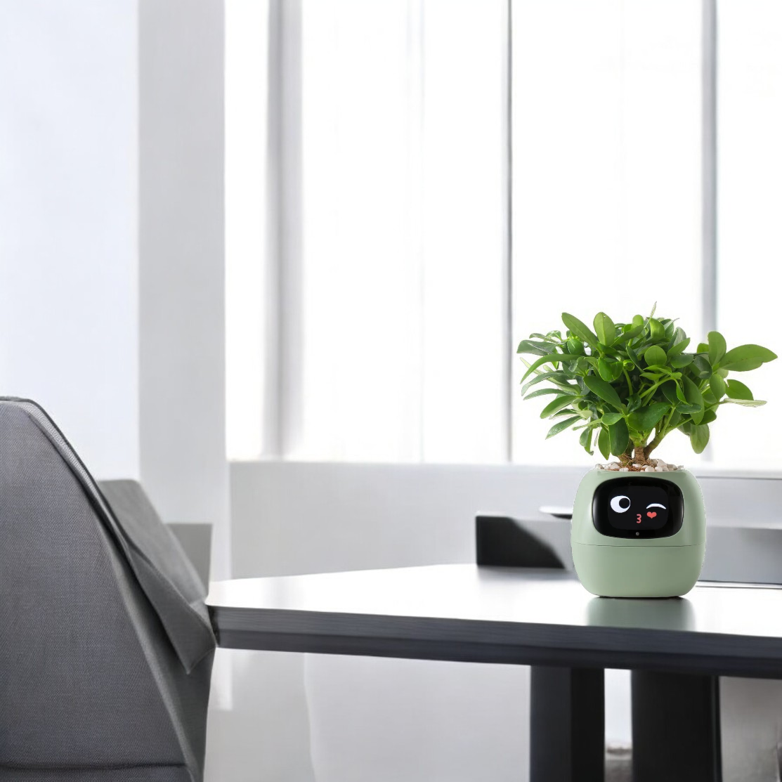 TerraNova Smart Planter