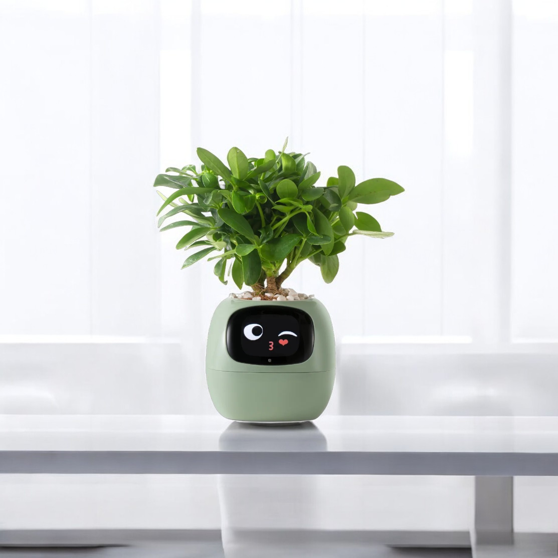 TerraNova Smart Planter