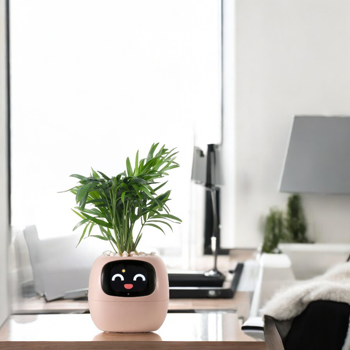 TerraNova Smart Planter