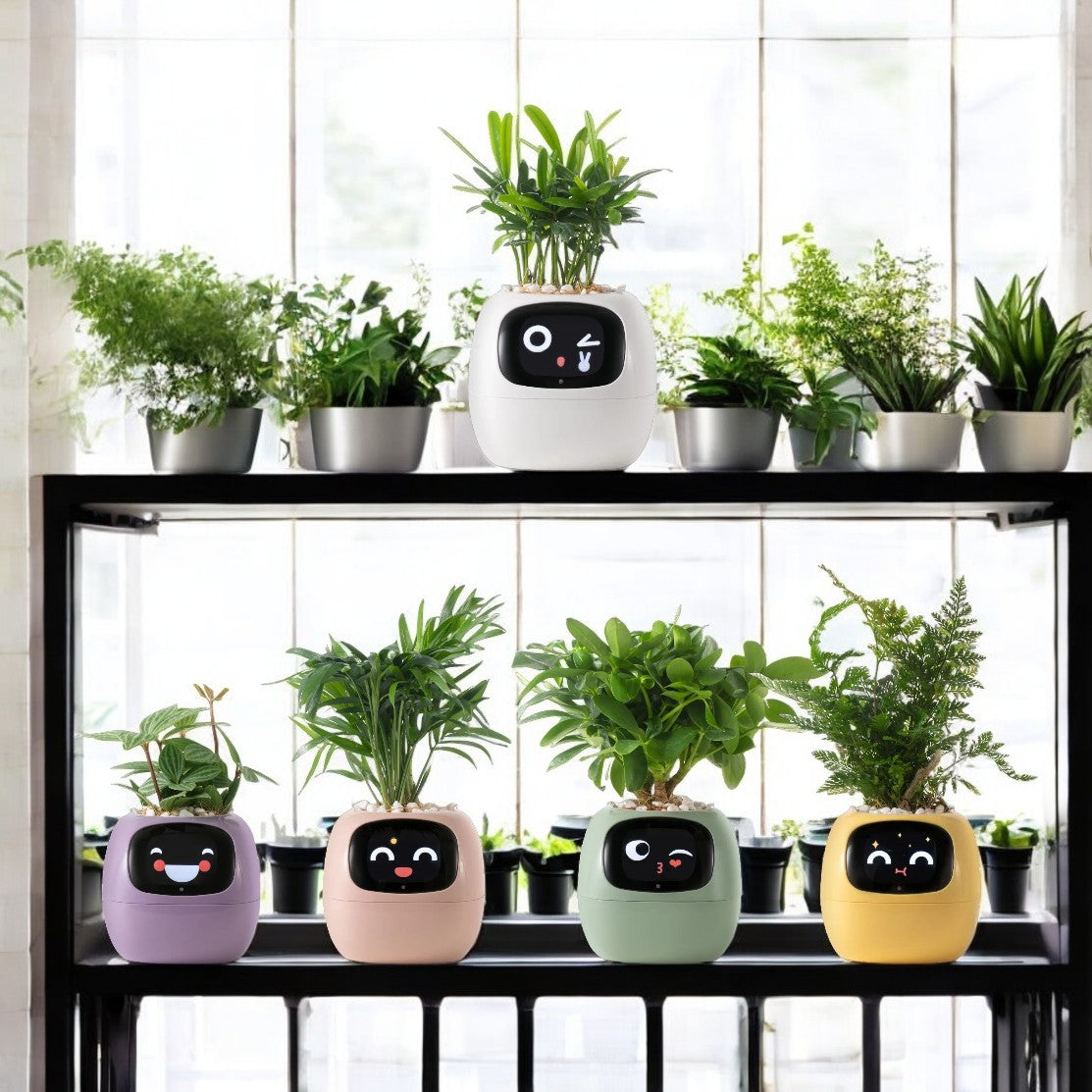 TerraNova Smart Planter