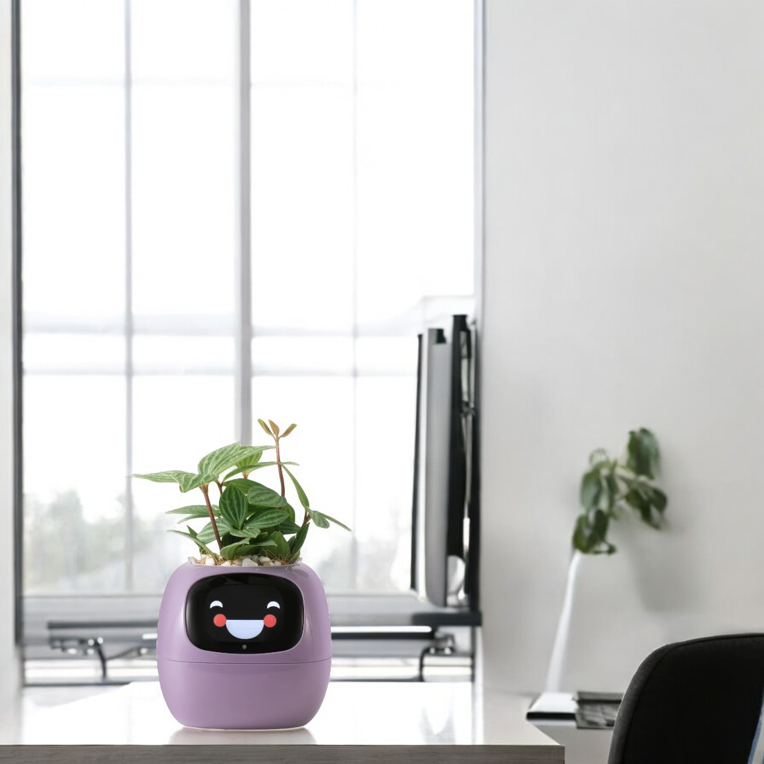 TerraNova Smart Planter