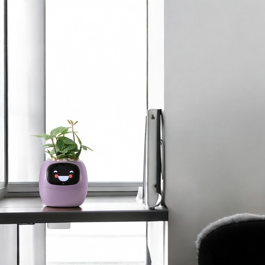 TerraNova Smart Planter